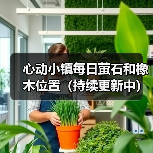 心动小镇每日萤石和橡木位置（持续更新中）(图4)