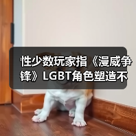 性少数玩家指《漫威争锋》LGBT角色塑造不足 官方回应(图4)