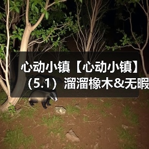 心动小镇【心动小镇】（5.1）溜溜橡木&无暇萤石(图2)