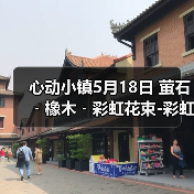 心动小镇5月18日 萤石﹣橡木﹣彩虹花束-彩虹朵朵(图3)