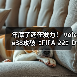 年底了还在发力！ voice38攻破《FIFA 22》D加密(图4)