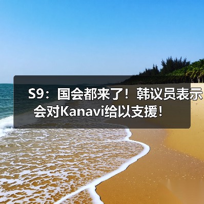 S9：国会都来了！韩议员表示会对Kanavi给以支援！(图4)