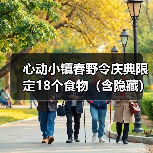 心动小镇春野令庆典限定18个食物（含隐藏）(图2)