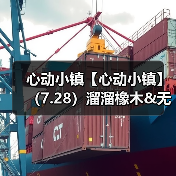 心动小镇【心动小镇】（7.28）溜溜橡木&无瑕萤石(图4)