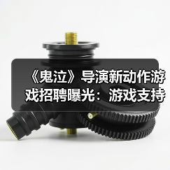 《鬼泣》导演新动作游戏招聘曝光：游戏支持在线玩法(图4)