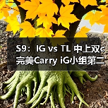 S9:IG vs TL 中上双c完美Carry iG小组第二晋级!(图2) S9:IG vs TL 中上双c完美Carry iG小组第二晋级!(图2)