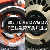 S9：TL VS DWG DWG三线发育齐头并进成功复仇TL(图2)