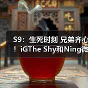 S9：生死时刻 兄弟齐心！iGThe Shy和Ning微笑握手 - Tanyitan情报局