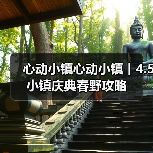 心动小镇心动小镇丨4.5小镇庆典春野攻略 - Tanyitan情报局