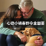 心动小镇春野令全图鉴(图2)