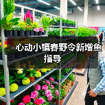 心动小镇春野令新增鱼指导 - Tanyitan情报局