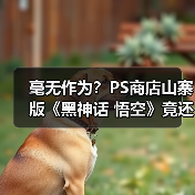 毫无作为？PS商店山寨版《黑神话 悟空》竟还没下架!(图2)