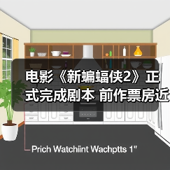 电影《新蝙蝠侠2》正式完成剧本 前作票房近8亿美元(图4)
