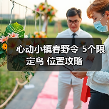 心动小镇春野令 5个限定鸟 位置攻略(图2)