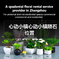 心动小镇心动小镇陨石位置(图3)