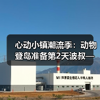 心动小镇潮流季：动物登岛准备第2天波叔—心动小镇(图3)
