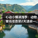 心动小镇潮流季：动物登岛准备第2天波叔—心动小镇(图2)