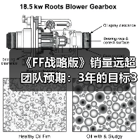 《FF战略版》销量远超团队预期：3年的目标3个月完成!(图2)