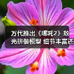 万代推出《哪吒2》敖光拼装模型 细节丰富还原度超高！(图4)