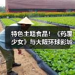 特色主题食品！《药屋少女》与大阪环球影城合作推出(图2)