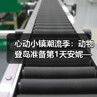 心动小镇潮流季：动物登岛准备第1天安妮—心动小镇(图3)