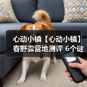 心动小镇【心动小镇】春野露营地测评 6个谜面位置(图3)