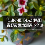 心动小镇【心动小镇】春野露营地测评 6个谜面位置(图4)