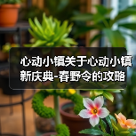心动小镇关于心动小镇新庆典-春野令的攻略(图4)