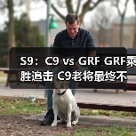 S9:C9 vs GRF GRF乘胜追击 C9老将最终不敌新军!(图1) S9:C9 vs GRF GRF乘胜追击 C9老将最终不敌新军!(图1)