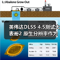 英伟达DLSS 4.5测试大表哥2 原生分辨率作为画质基准(图3) 英伟达DLSS 4.5测试大表哥2 原生分辨率作为画质基准(图3)