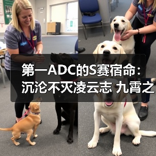 第一ADC的S赛宿命:沉沦不灭凌云志 九霄之上涅凤凰(图4) 第一ADC的S赛宿命:沉沦不灭凌云志 九霄之上涅凤凰(图4)