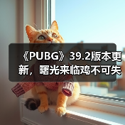 《PUBG》39.2版本更新,曙光来临鸡不可失(图3) 《PUBG》39.2版本更新,曙光来临鸡不可失(图3)