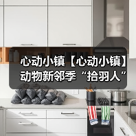 心动小镇【心动小镇】动物新邻季“拾羽人”隐藏称号(图1) 心动小镇【心动小镇】动物新邻季“拾羽人”隐藏称号(图1)