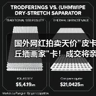 国外网红拍卖天价 国外网红拍卖天价皮卡丘插画家卡!成交将亲自送达(图4)