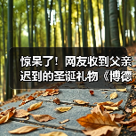 惊呆了!网友收到父亲迟到的圣诞礼物《博德3》收藏版(图1) 惊呆了!网友收到父亲迟到的圣诞礼物《博德3》收藏版(图1)