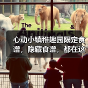 心动小镇稚趣园限定食谱，隐藏食谱，都在这啦(图2)