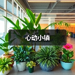 心动小镇(图4)