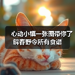 心动小镇一张图带你了解春野令所有食谱(图1) 心动小镇一张图带你了解春野令所有食谱(图1)