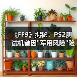 《FF9》揭秘:PS2测试机曾因 《FF9》揭秘:PS2测试机曾因军用风险险些无法入境(图3)