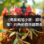 《电影蜡笔小新:超华丽!灼热的春日部舞者们》预告(图4) 《电影蜡笔小新:超华丽!灼热的春日部舞者们》预告(图4)