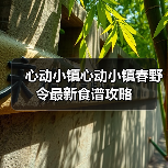 心动小镇心动小镇春野令最新食谱攻略(图3) 心动小镇心动小镇春野令最新食谱攻略(图3)