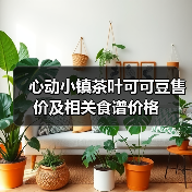 心动小镇茶叶可可豆售价及相关食谱价格(图3)