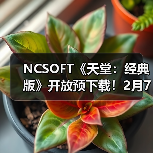 NCSOFT《天堂:经典版》开放预下载!2月7日免费体验(图2) NCSOFT《天堂:经典版》开放预下载!2月7日免费体验(图2)