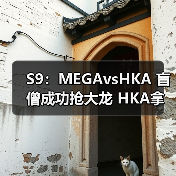 S9：MEGAvsHKA 盲僧成功抢大龙