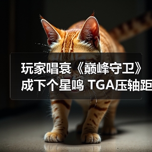 玩家唱衰《巅峰守卫》成下个星鸣 TGA压轴距发售零宣发(图4) 玩家唱衰《巅峰守卫》成下个星鸣 TGA压轴距发售零宣发(图4)