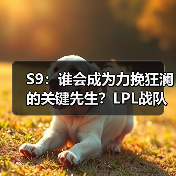 S9：谁会成为力挽狂澜的关键先生？LPL战队选手篇(图4)