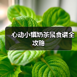 心动小镇奶茶鼠食谱全攻略(图1) 心动小镇奶茶鼠食谱全攻略(图1)