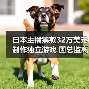 日本主播筹款32万美元制作独立游戏 因总监离职或夭折(图4)
