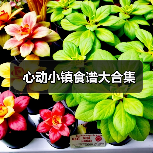 心动小镇食谱大合集(图2) 心动小镇食谱大合集(图2)