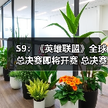 S9:《英雄联盟》全球总决赛即将开赛 总决赛赛制介绍(图3) S9:《英雄联盟》全球总决赛即将开赛 总决赛赛制介绍(图3)